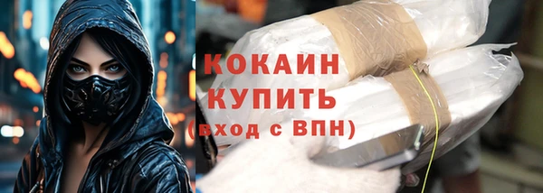 прущие грибы Арсеньев