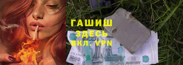 прущие грибы Арсеньев