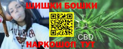 бошки Гусев