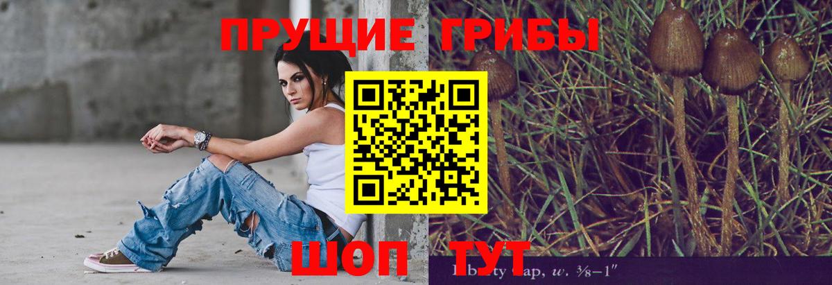 COCAIN Новодвинск