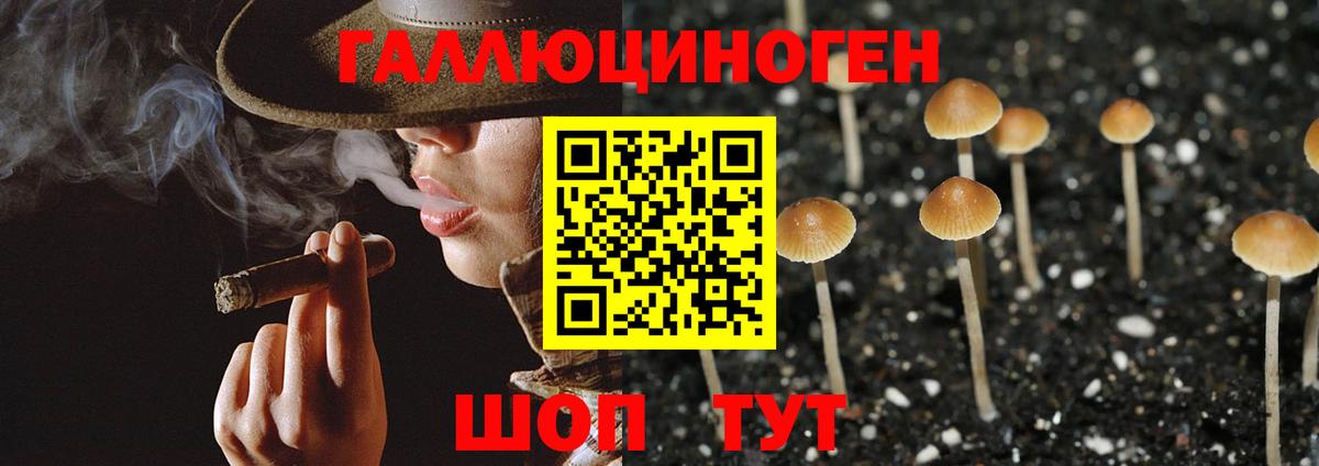 Галлюциногенные грибы мухоморы Новодвинск